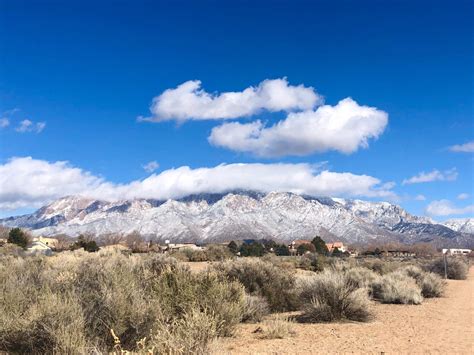 New Mexico Desert Hiking: The Best Albuquerque Hiking Trails