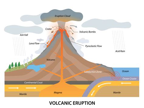 Volcanic eruption process structure with geological side view 10935321 ...