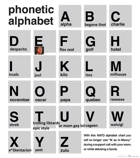 Use the NATO phonetic alphabet when spelling : r/dankmemes