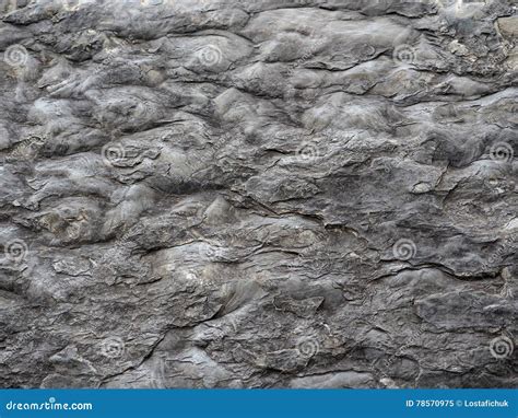 Background of Siltstone Rock Stock Image - Image of abstract, siltstone ...