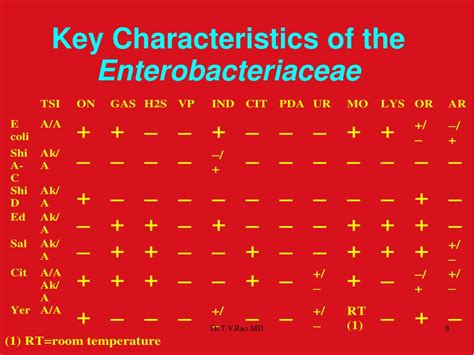 PPT - Biochemical Tests Enterobacteriaceae PowerPoint Presentation ...