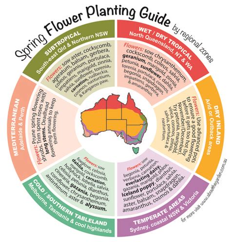 Spring Flowers Planting Guide By Temperate Regional Zones What to grow ...