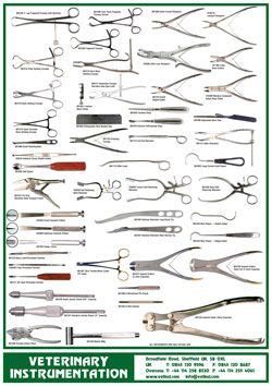 orthopedic surgical instruments pictures and names pdf - Nuts ...