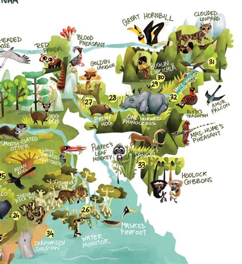 115 animals, 46 biodiversity hotspots, one giant illustration- here is ...