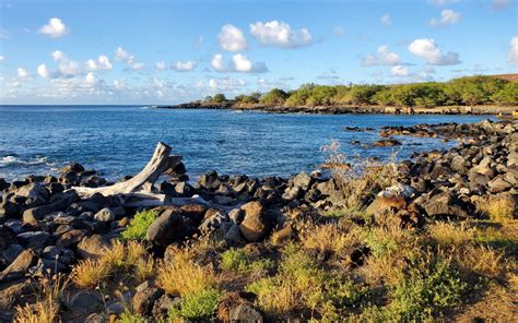 Mahukona Beach Park, Waimea - Hawaii Beaches