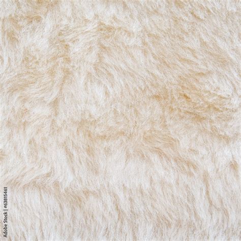 White fur of polar bear texture background Stock Photo | Adobe Stock