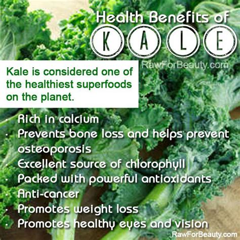 Natural Cures Not Medicine: Health benefits of kale