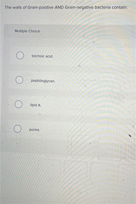 Solved The walls of Gram-positive AND Gram-negative bacteria | Chegg.com
