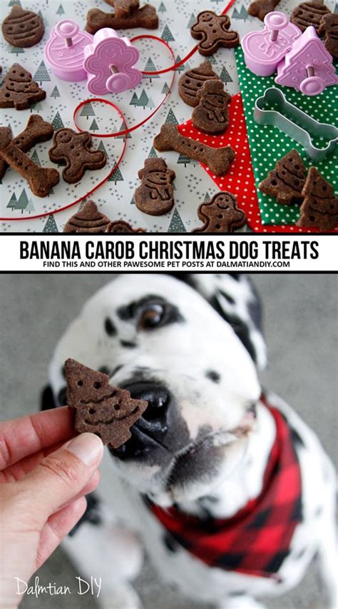 Pin on Christmas dog treats