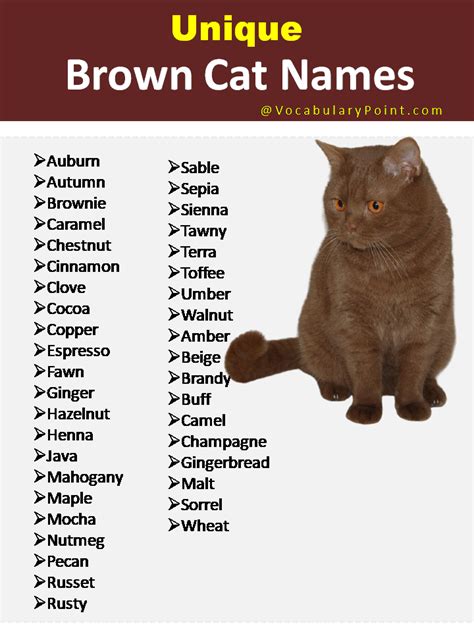 150+ Unique Cat Names in English (Black, Gray And Kitten) - Vocabulary ...