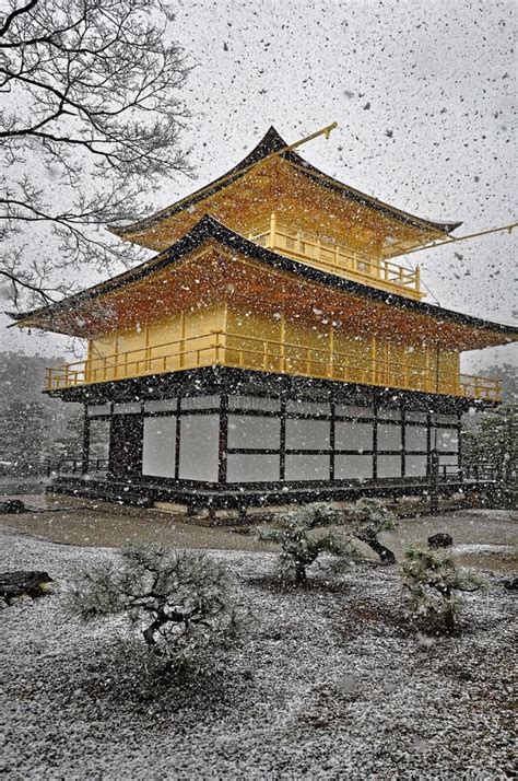 KYOTO, JAPAN - MARCH 10 2014: Old Japanese Golden Castle, Kinkakuji ...