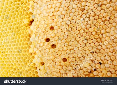 Beehive Texture Stock Photo 204473983 | Shutterstock