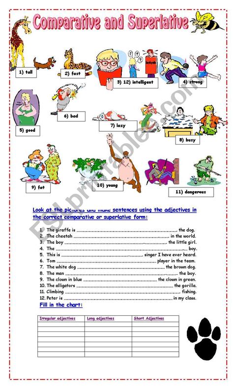 Comparative and Superlative Exercises - ESL worksheet by Pacchy