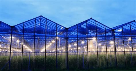 Greenhouse Lighting Systems - Agri Tunnels