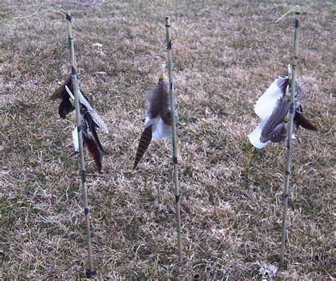 Homemade Coyote Decoy - Homemade Ftempo