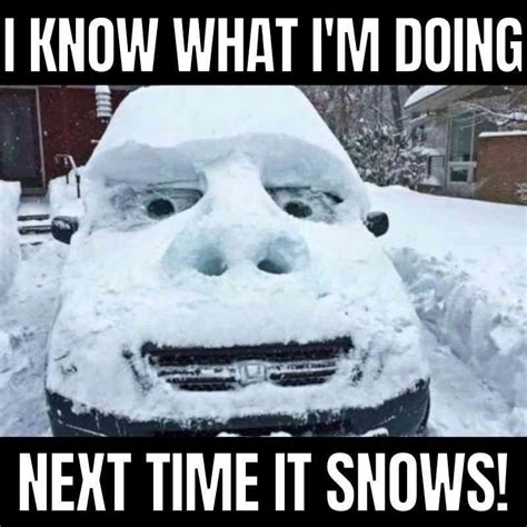 25 Best Snow Memes for Laughing at Winter Weather | Winter jokes, Snow ...