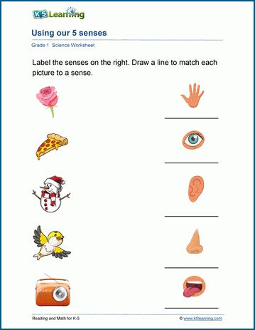 Using Our 5 Senses Worksheet | K5 Learning