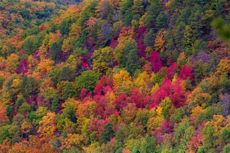 Skyline Drive Fall Foliage in Shenandoah National Park - Explore with Alec