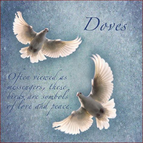 Dove Holy Spirit Christianity Symbol The Quotes | Images and Photos finder