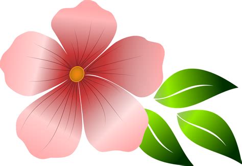 Flower Pink Spring · Free vector graphic on Pixabay