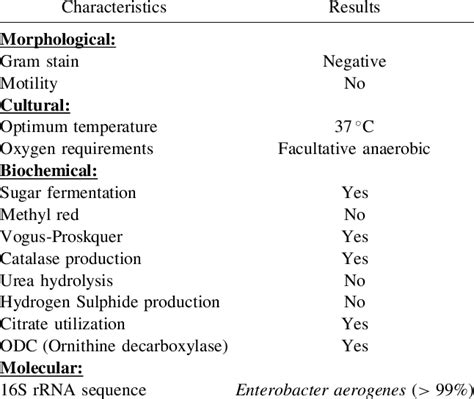 Enterobacter Aerogenes Gram Stain