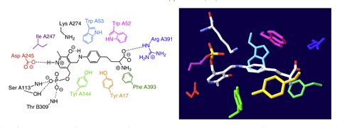 Figure 1 from Pyridoxal-5'-phosphate-dependent enzymes involved in ...