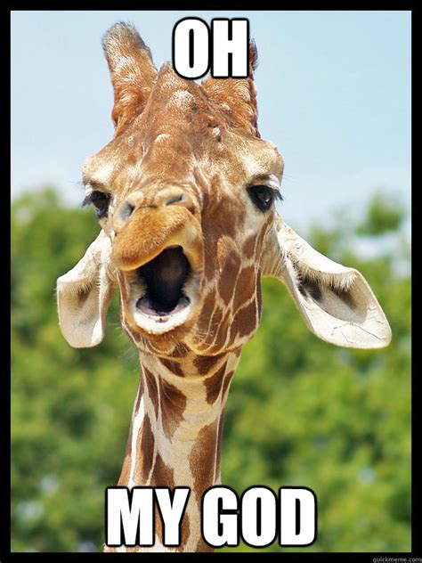 Giraffe memes | quickmeme