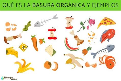 Qué es la basura orgánica y ejemplos - Resumen | Basura organica ...