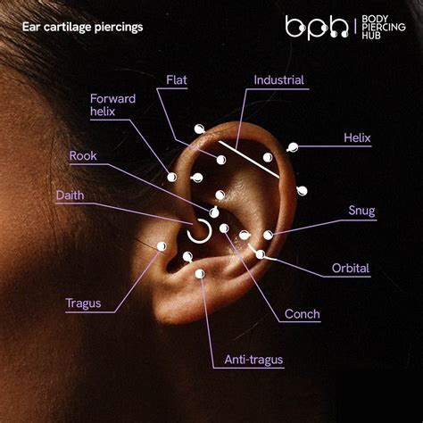 Cartilage Piercings | Types of Cartilage Piercings | Body Piercing Hub