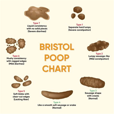 Different Ways To Poop