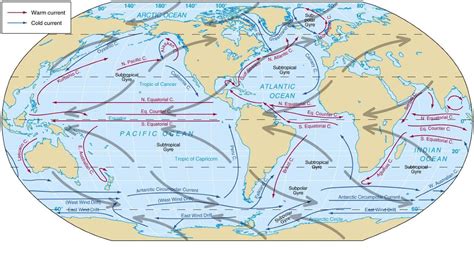 Ocean currents: Forces Responsible For Ocean Currents | Desert ...