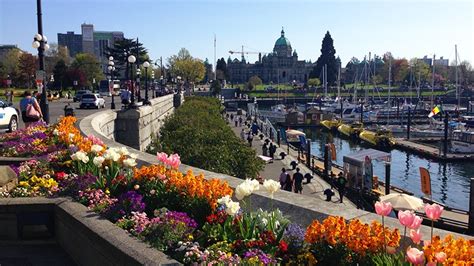 Victoria weather record shattered as heat grips Vancouver Island | CTV News