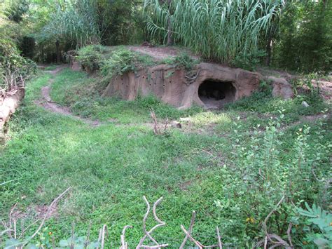 Spotted Hyena Habitat - Rivers Edge - ZooChat