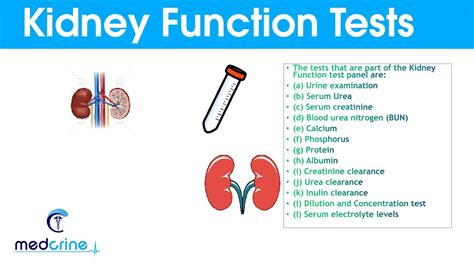 Kidney Function Tests and Interpretation of Results. - YouTube