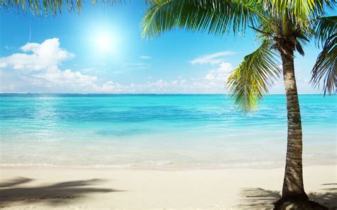 Summer Beach Scenes Wallpaper - WallpaperSafari