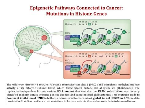 Cancer Epigenetics: Concepts, Challenges and Promises