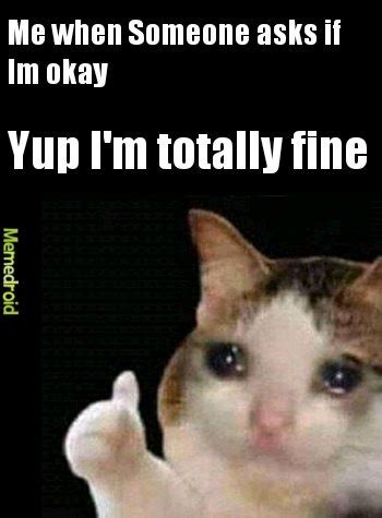 Depressed Cat Meme No