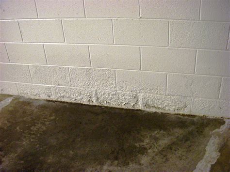 basement waterproofing paint efflorescence - Lucio Wilhite