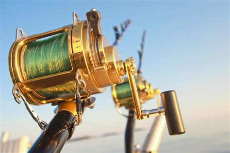 Best Saltwater Reels: Top Spinning and Baitcasting Options 2024