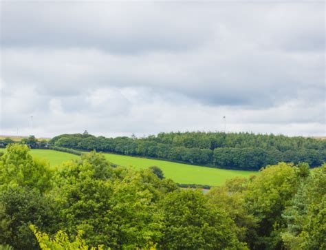 Glynn Valley Crematorium | Dignity Crematoria Ltd