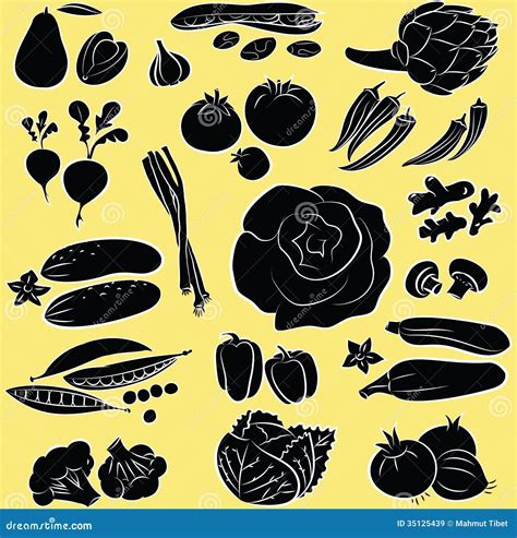 Vegetables set stock vector. Illustration of organic - 35125439