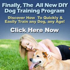 Online-Dog-Training | Kinjeng Submiter | Flickr