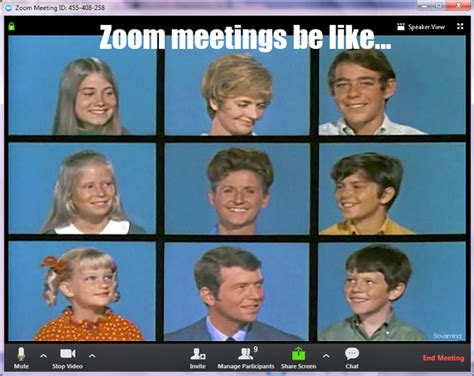 15 Memes For Your Next Zoom Meeting - VisionViral.com