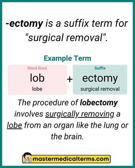 -ectomy -ectomy - Master Medical Terms