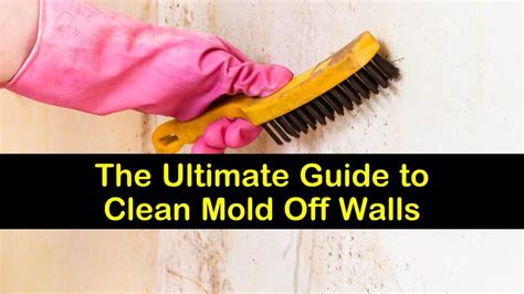 The Ultimate Guide to Clean Mold Off Walls