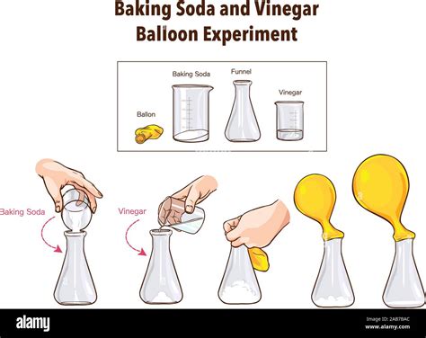 Baking Soda and Vinegar-Balloon Experiment-Science Stock Vector Image ...