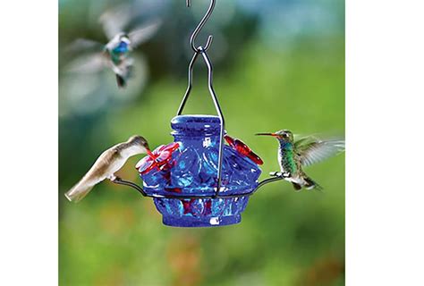 Blue Hummingbird Feeder