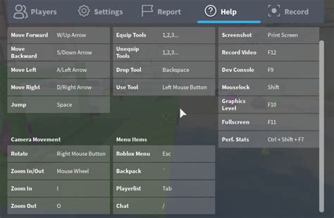 Roblox should let players set custom controls - Engine Features ...