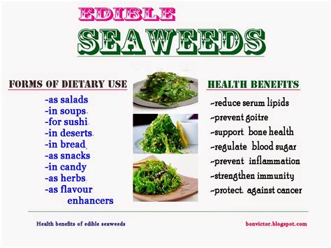 seaweed salad health benefits