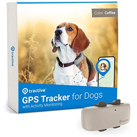 Best Top 10 Microchip With GPS Tracker For Dogs - Dog Fluffy